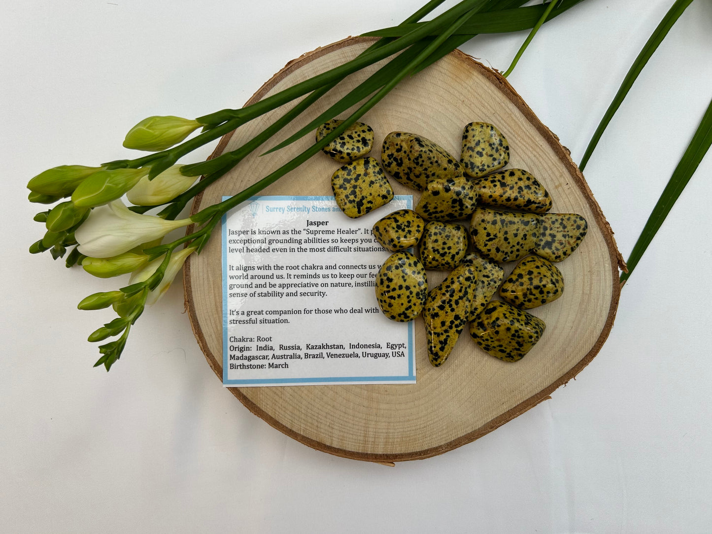 Dalmatian Yellow Jasper Tumblestones