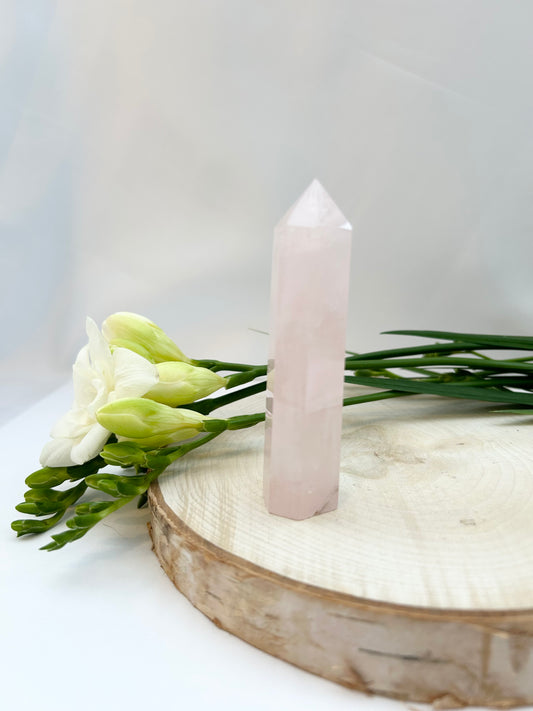 Rose Quartz Point 100mm (L)