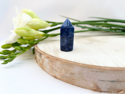 Sodalite Polished Point 30mm (L)