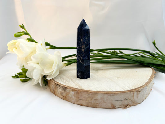 Sodalite Polished Point 90mm(L)