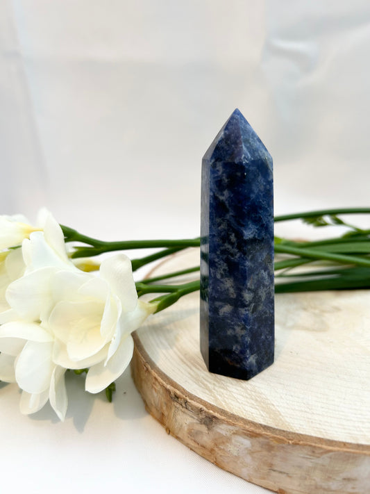 Sodalite Polished Point 90mm (L)